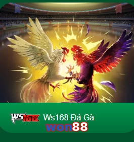 won88